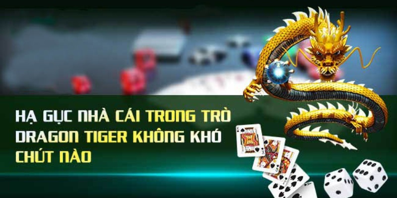 Điều thú vị của game rồng hổ